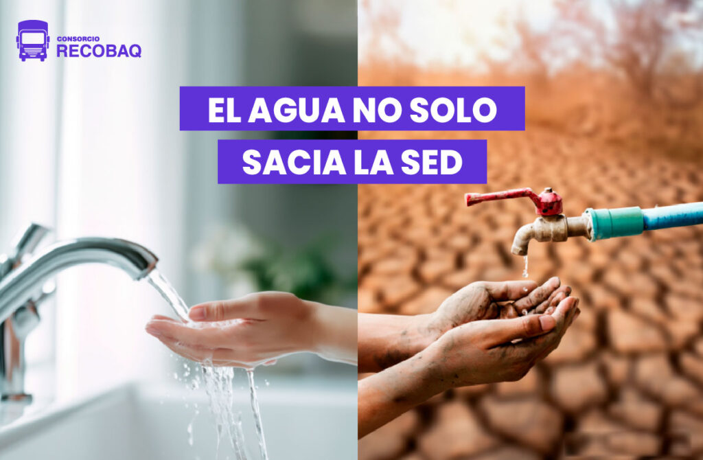 El agua no solo sacia la sed